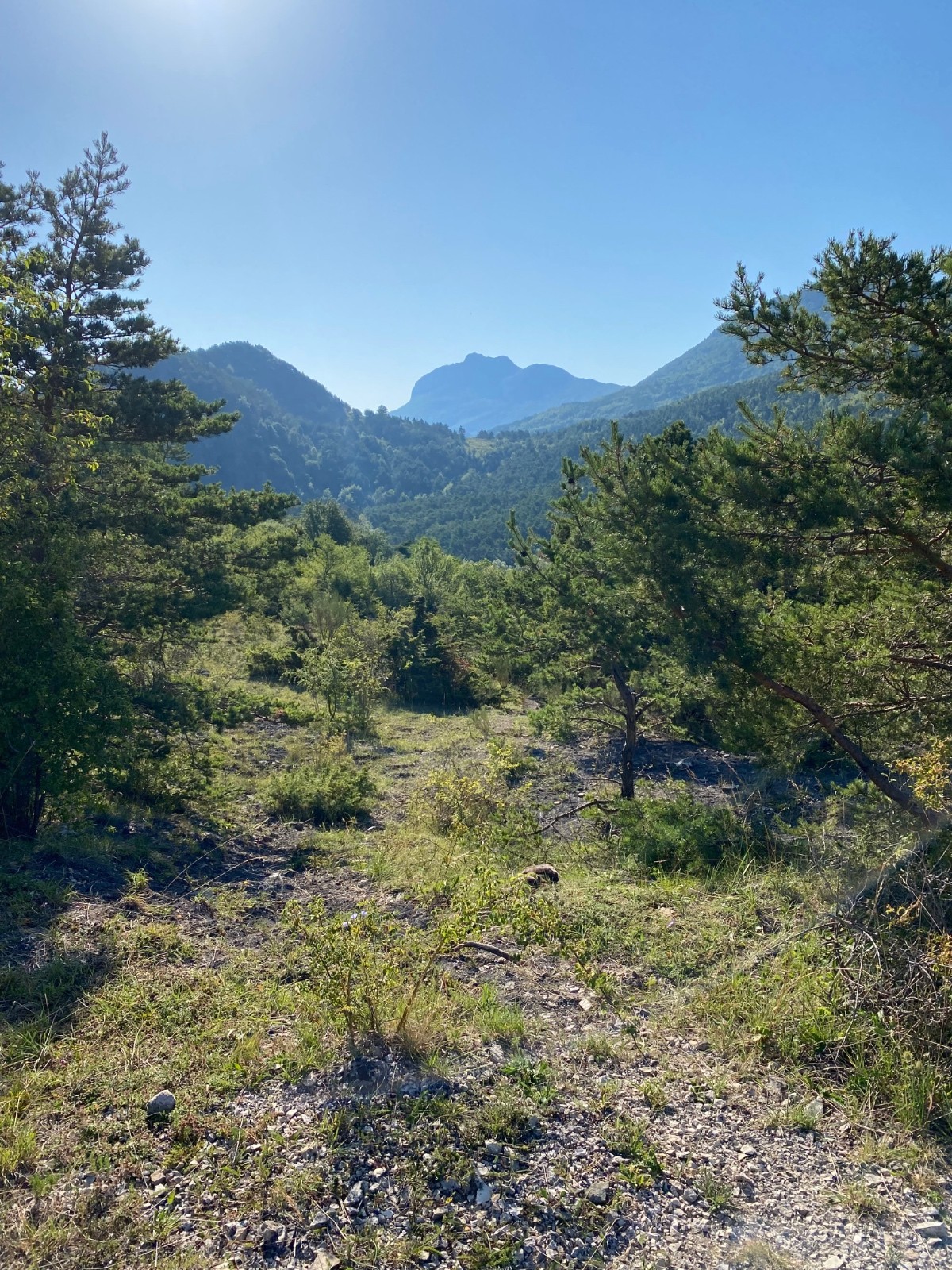 #11 Montagne de Maraysse Montagne de Maraysse