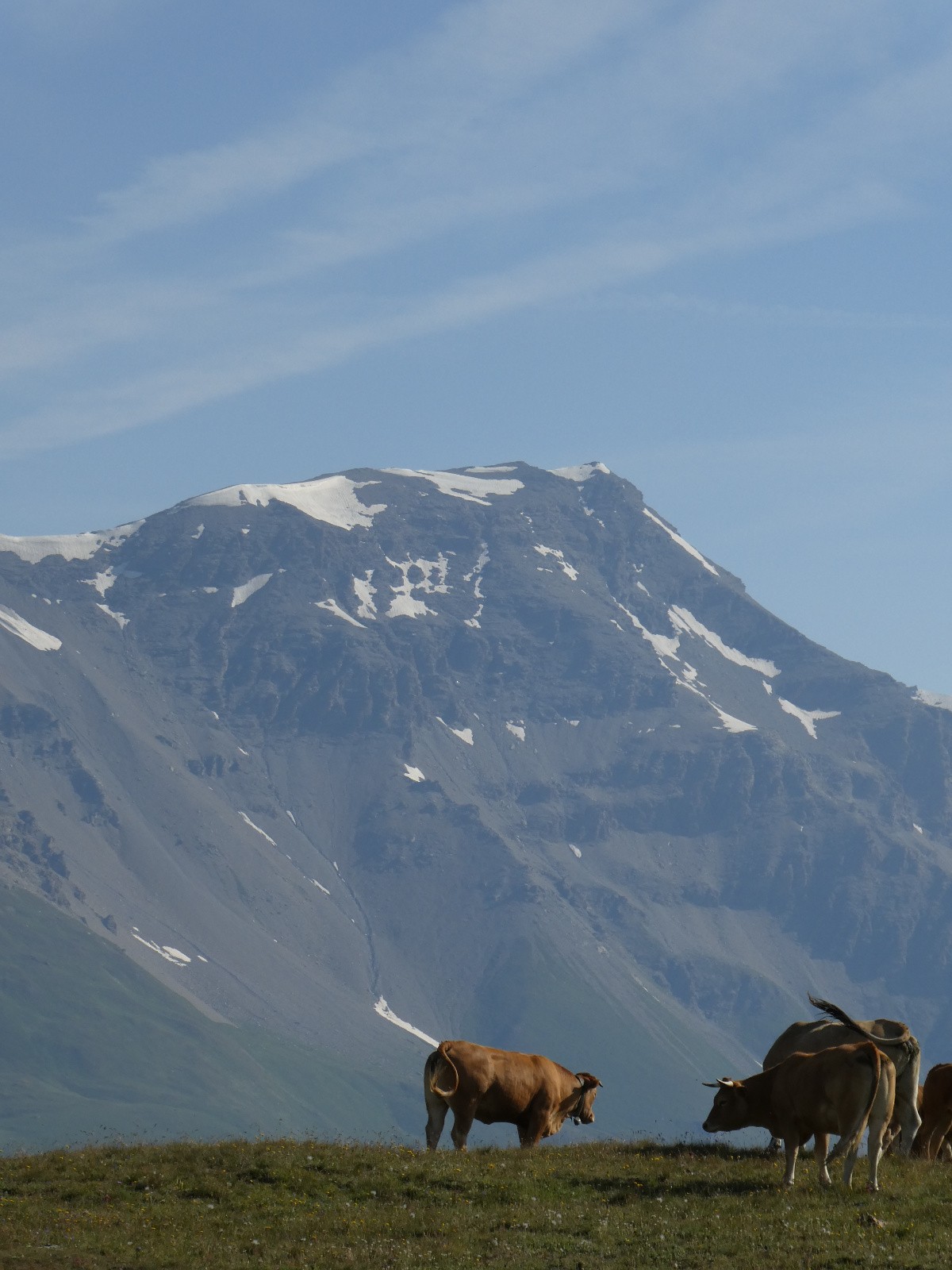 Face aux Pointe du Chatelard