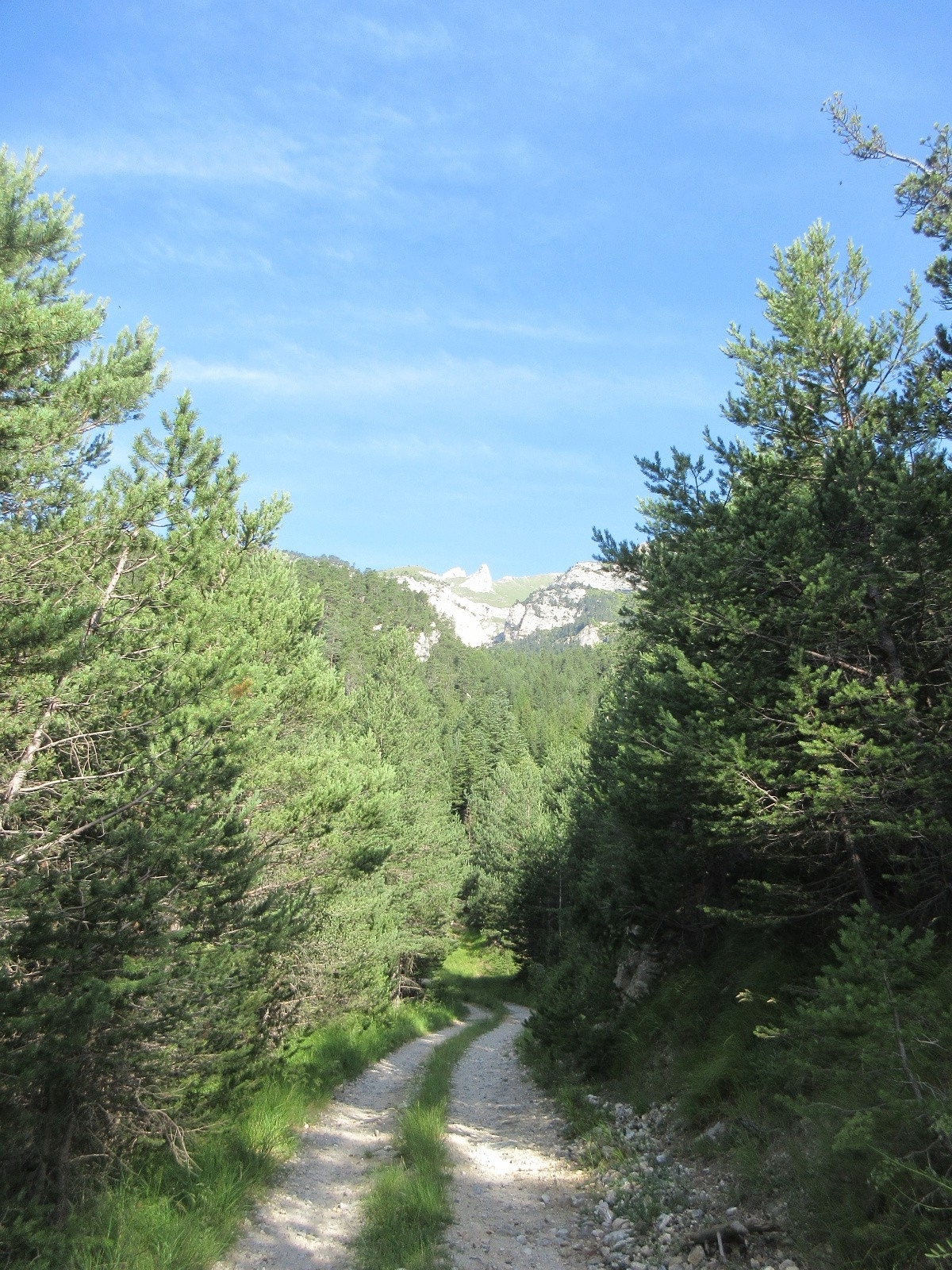 Montée au Mont de Sollières