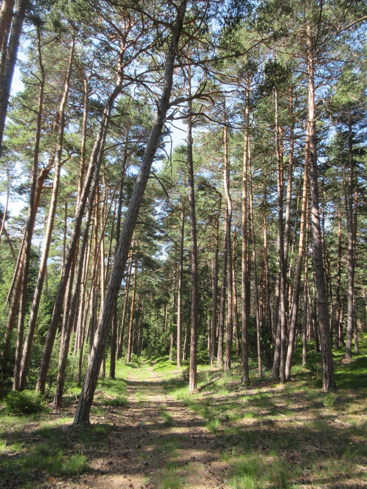 sentier des 7 douleurs