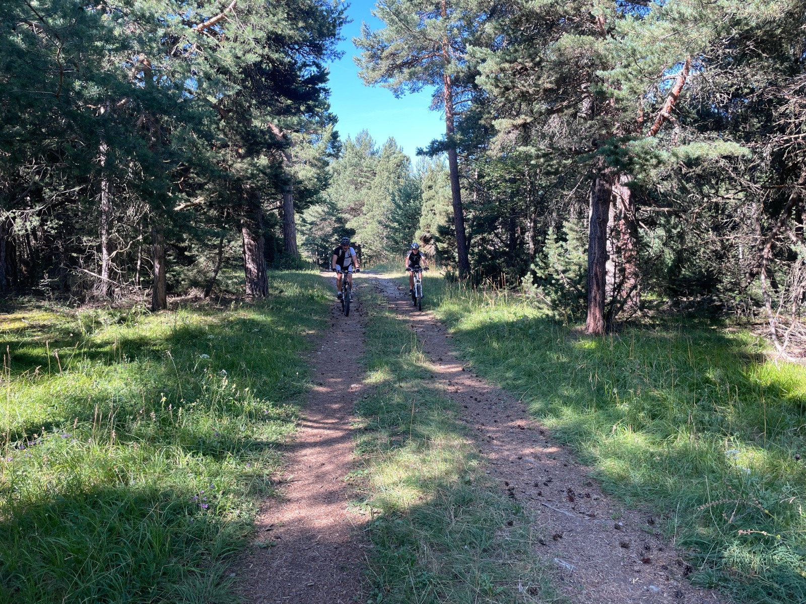 Sur la piste du Grand Cerf...