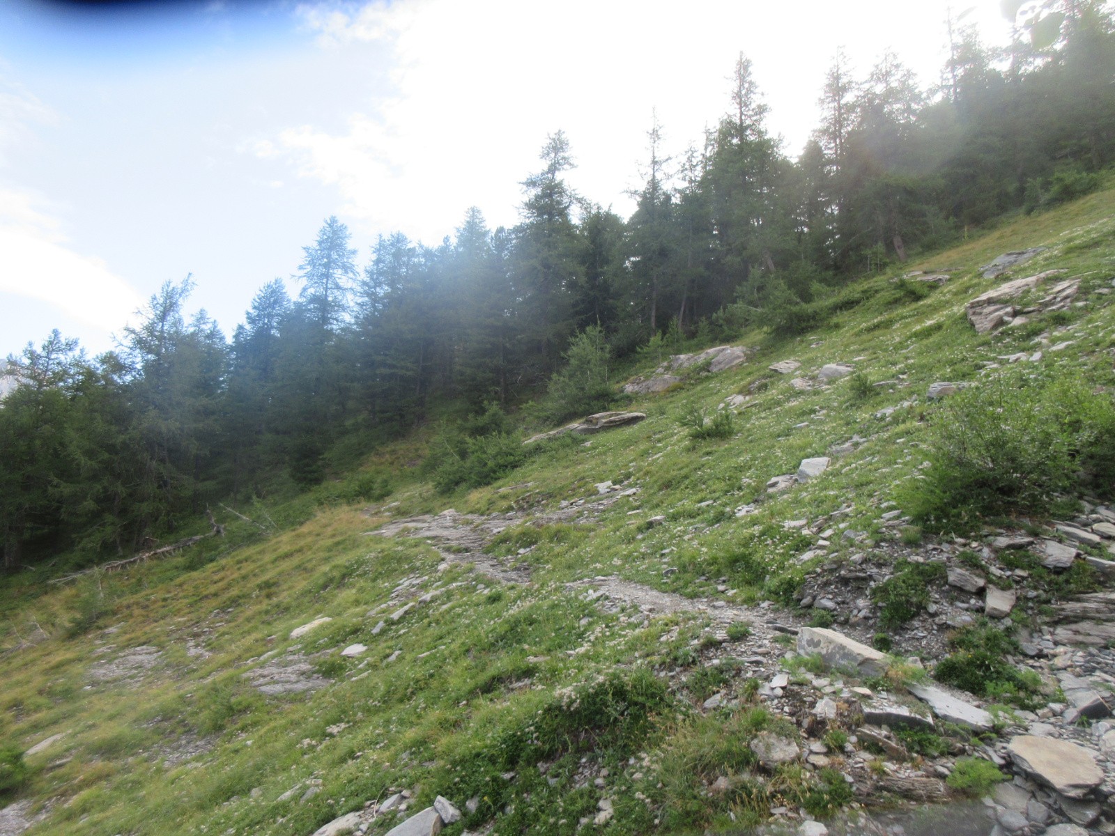 Un ravin du Sentier des Alpes