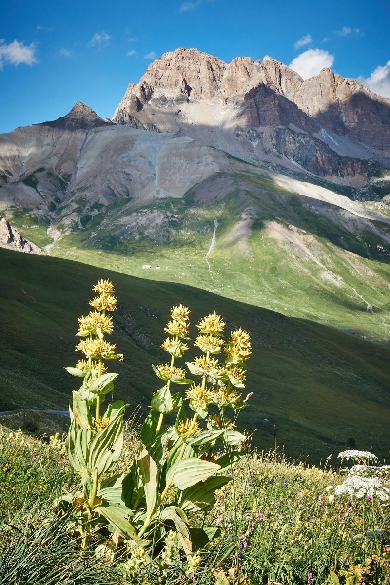 Gande Gentiane, Grand Galibier. Tout est grand(diose) ici !