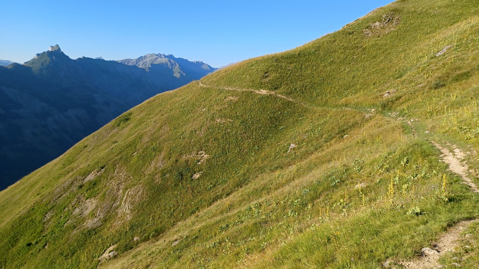 Sur le sentier Orgentil - Gollet. 