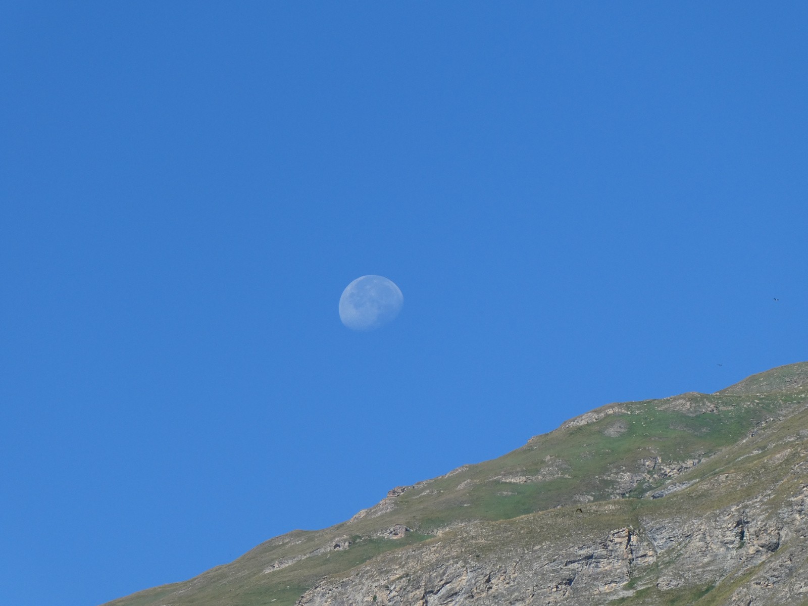 Couché de lune, il est emps d'y aller