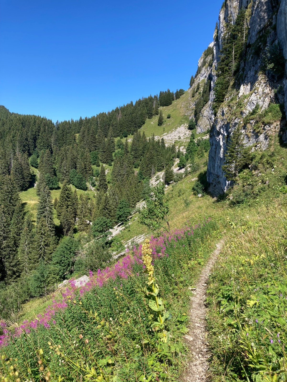 Vers le col des Follys , sous la falaise