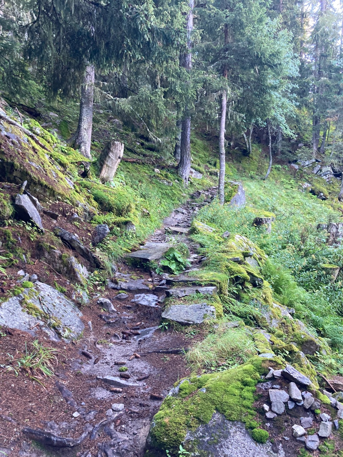 Portage entre Mottets et Montenvers