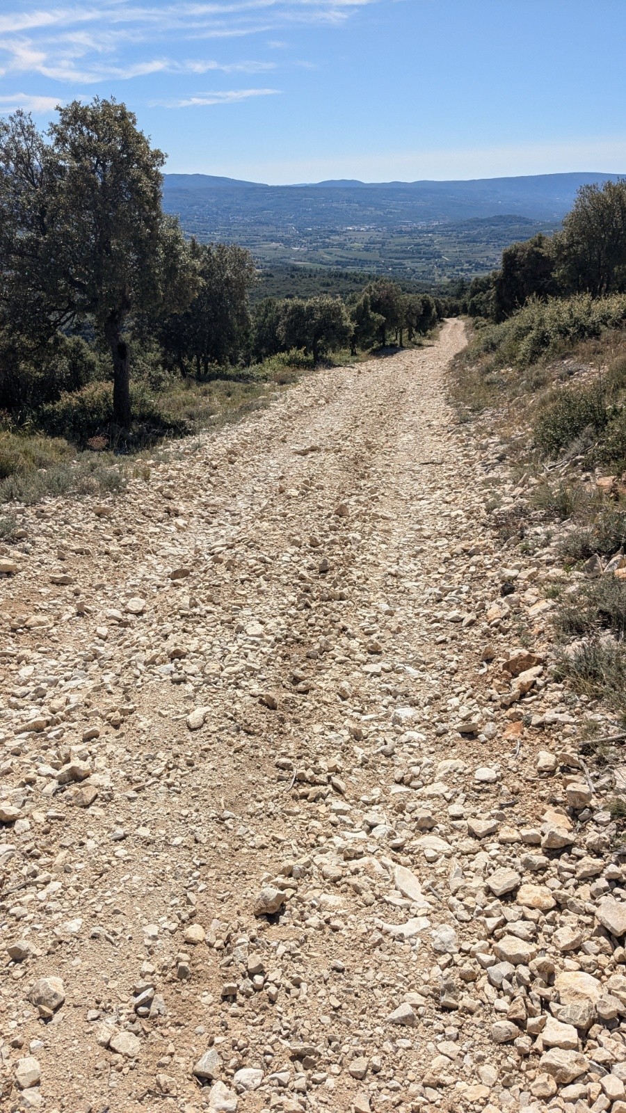 #5