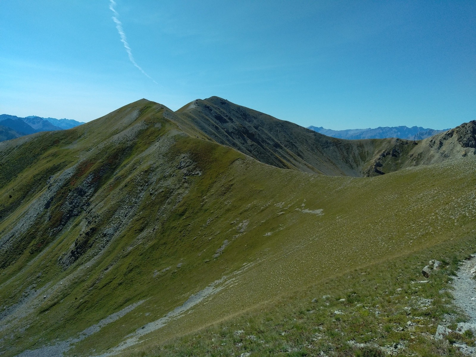 La tête au loin à droite 