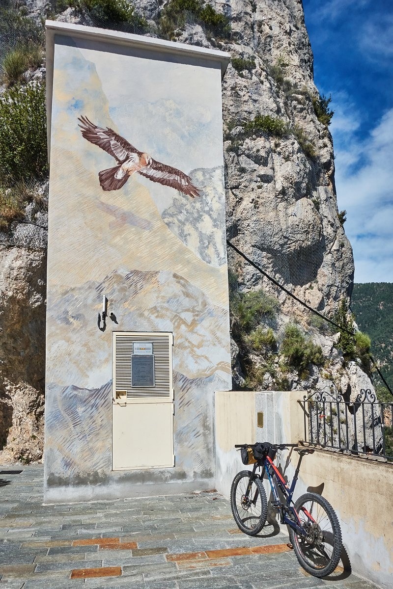 Roubion, haut-lieu des Alpes françaises pour la réintroduction du gypaète.