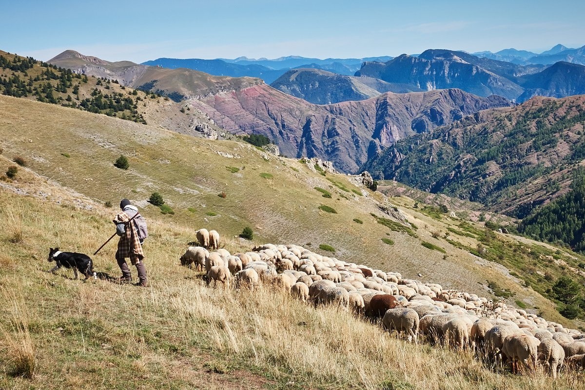 Montagne pastorale par excellence