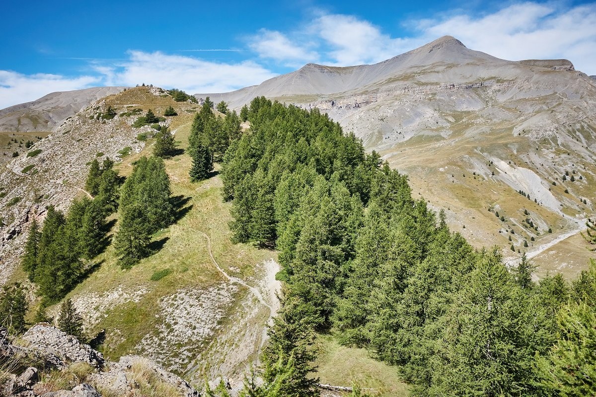 Le Mounier depuis la très belle crête au SE du col des Moulinès.