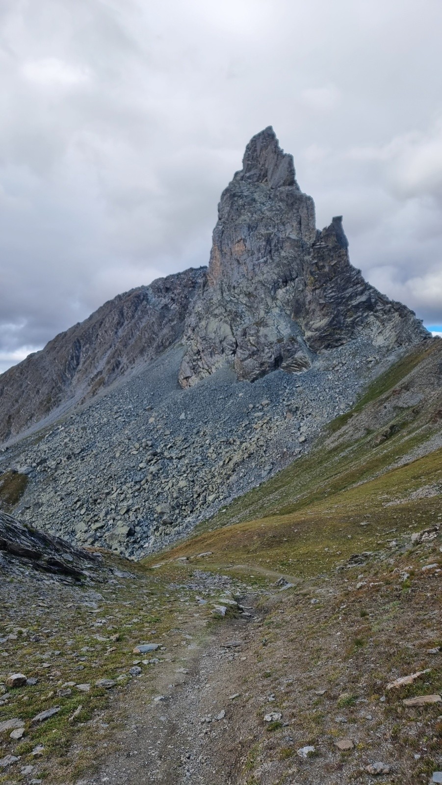 Tête des Toilies 