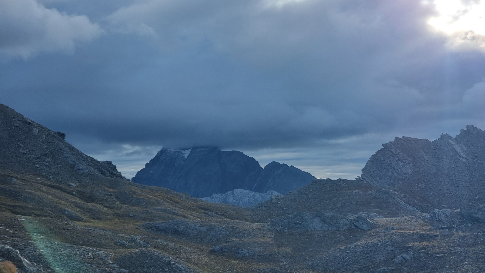 La maître des lieux a mis son bonnet 