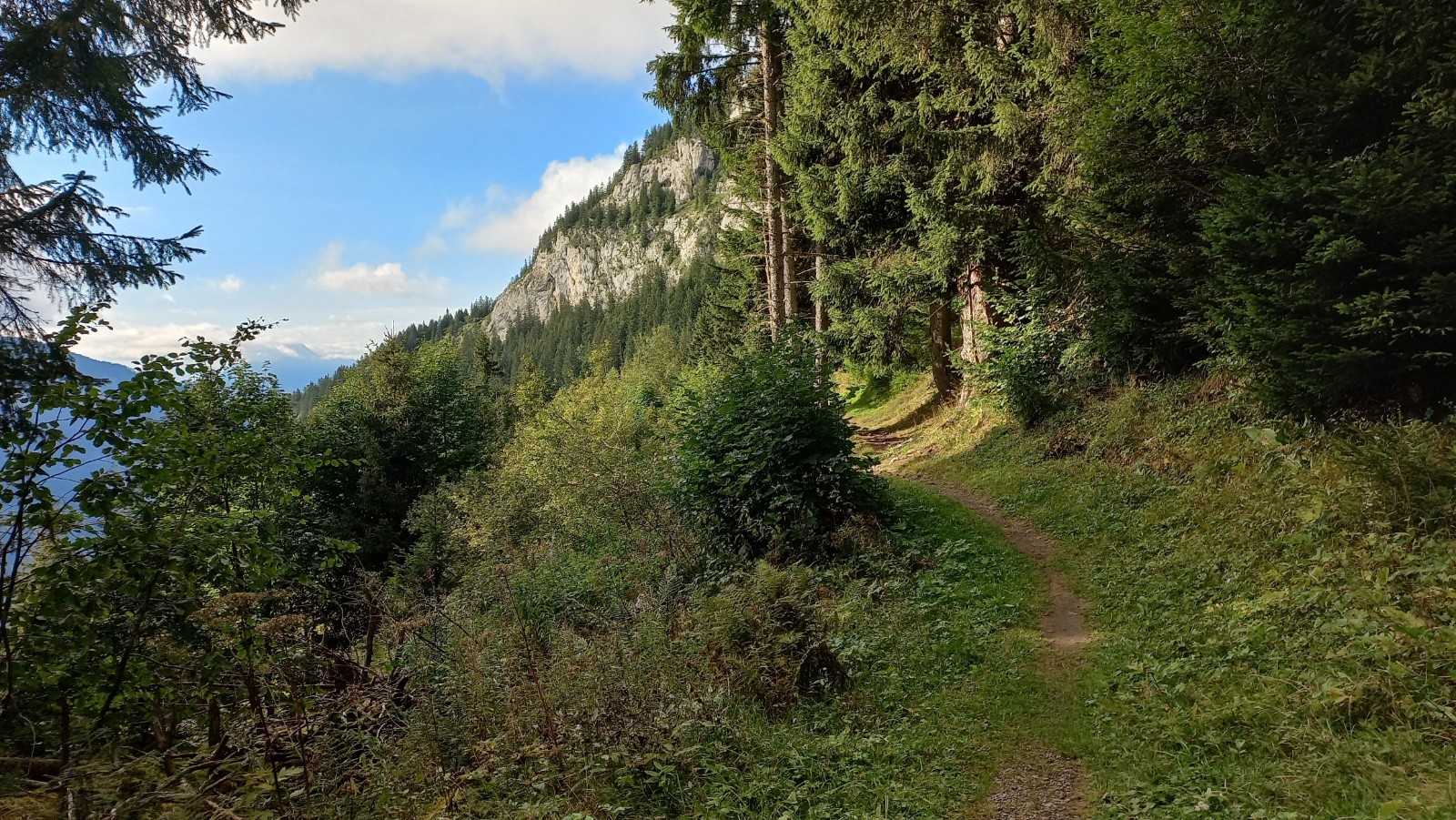 Très beau single dans la traverse du Col du Cou --> Charbottaz