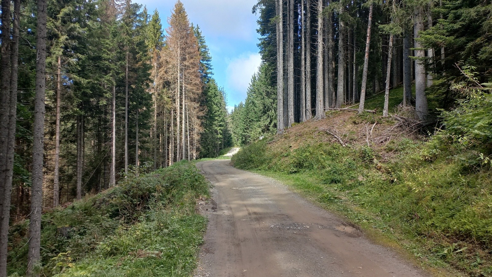 Grosse piste de montée, en mode tranquille ici