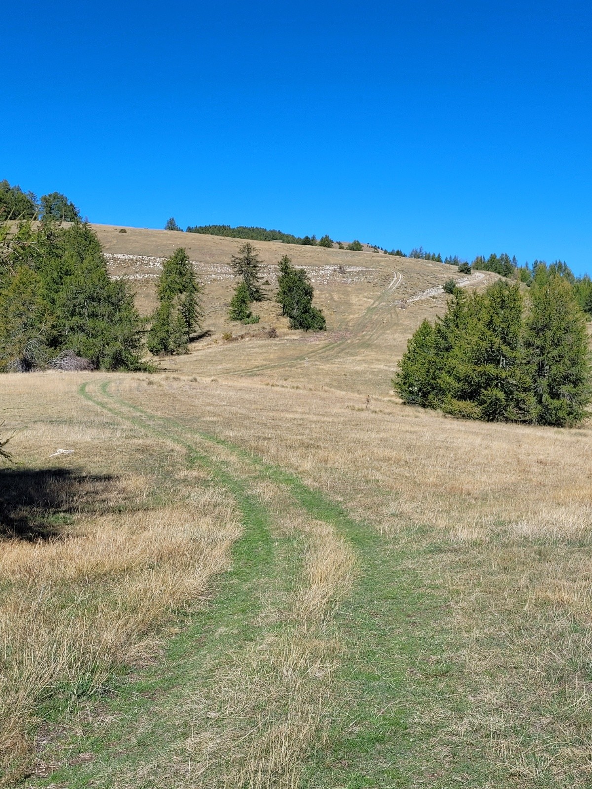 sous les dernières rampes 