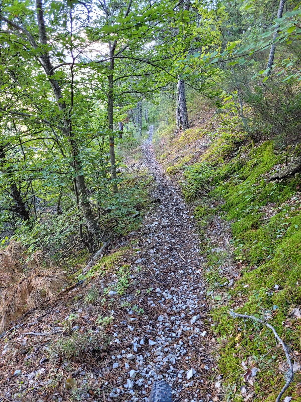 descente sous Roncharel 