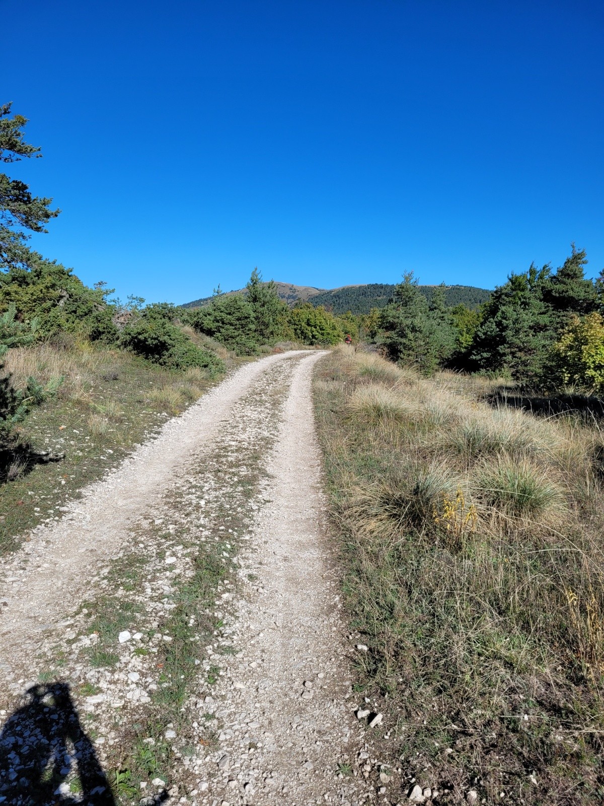  Belle et longue piste