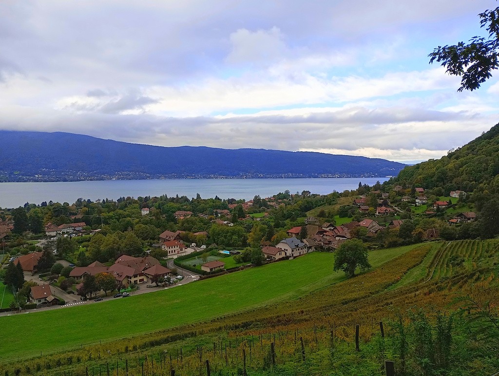 Les vignes et Menthon