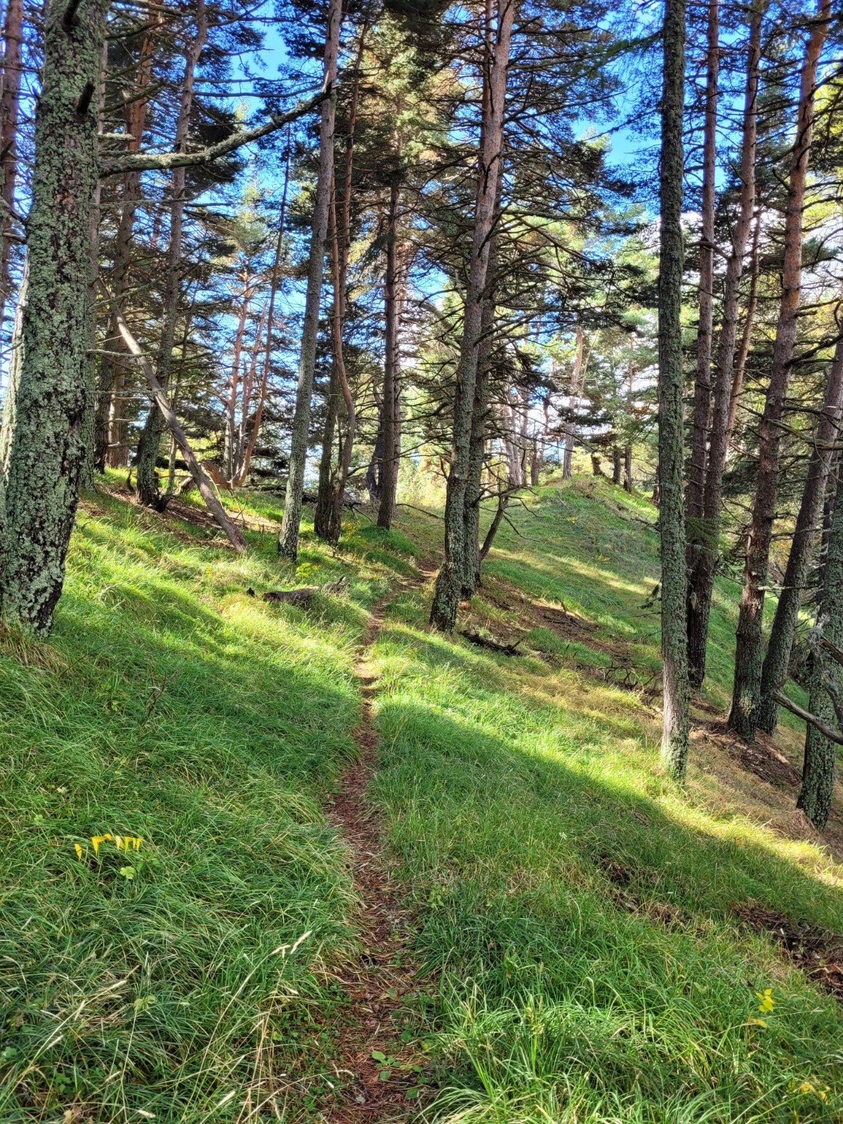 fin de la montée vers le Péla. 