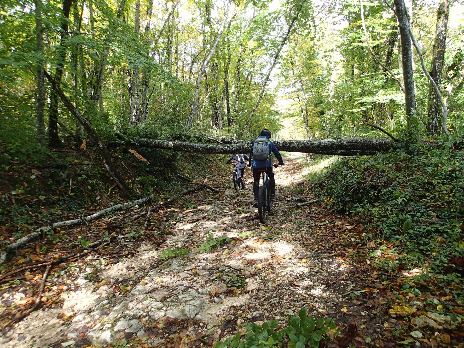 En direction du col du Sapenay...