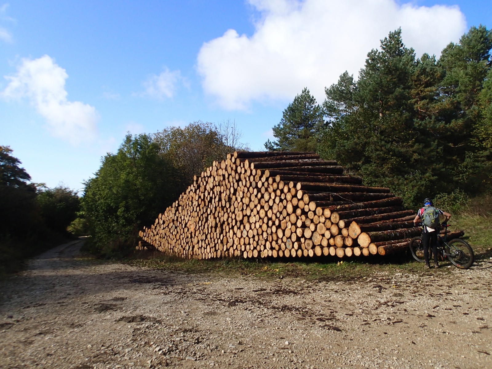 Homme blanc couper du bois, hiver rude ...