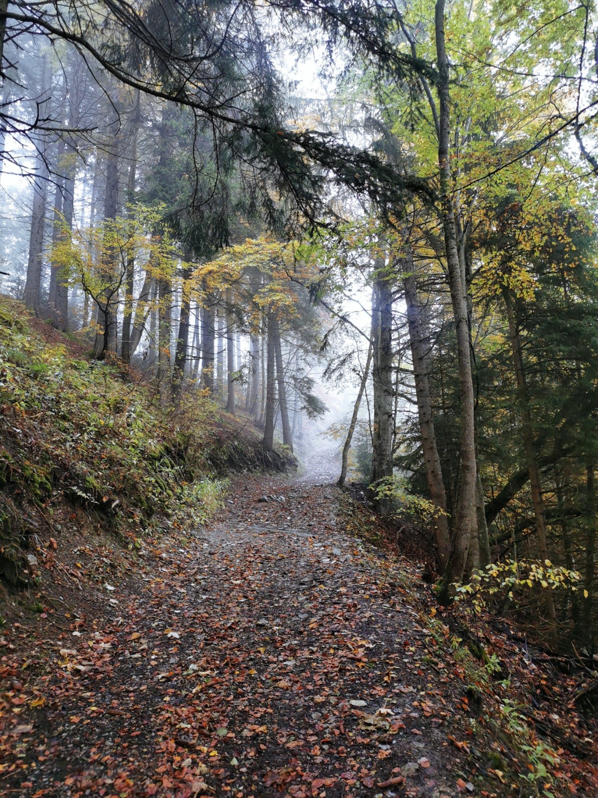 #1 Montée aux Hermones Montée aux Hermones