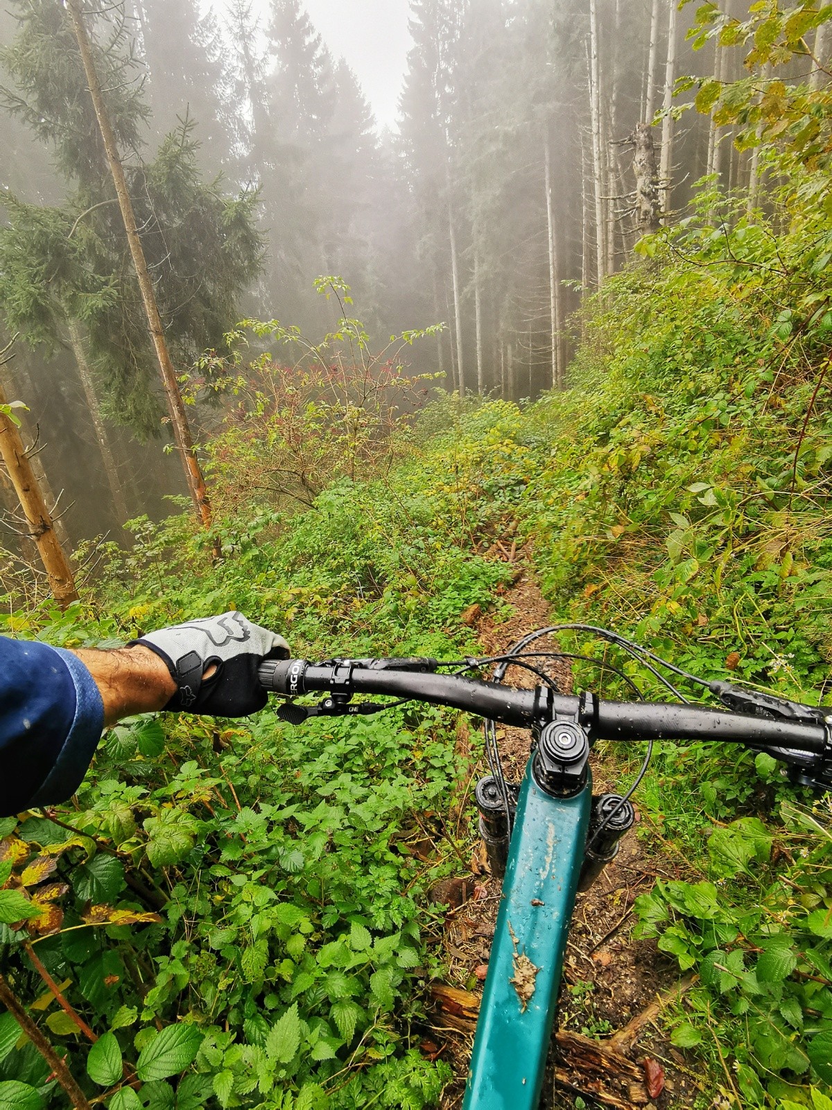#5 Traversée sous le mont d Traversée sous le mont d'Hermone côté S