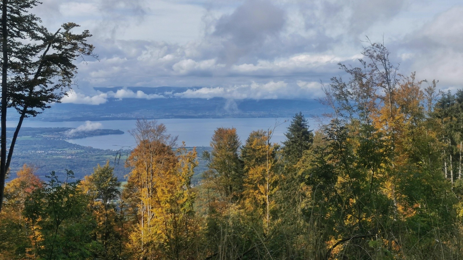 #9 Automne sur le Léman Automne sur le Léman