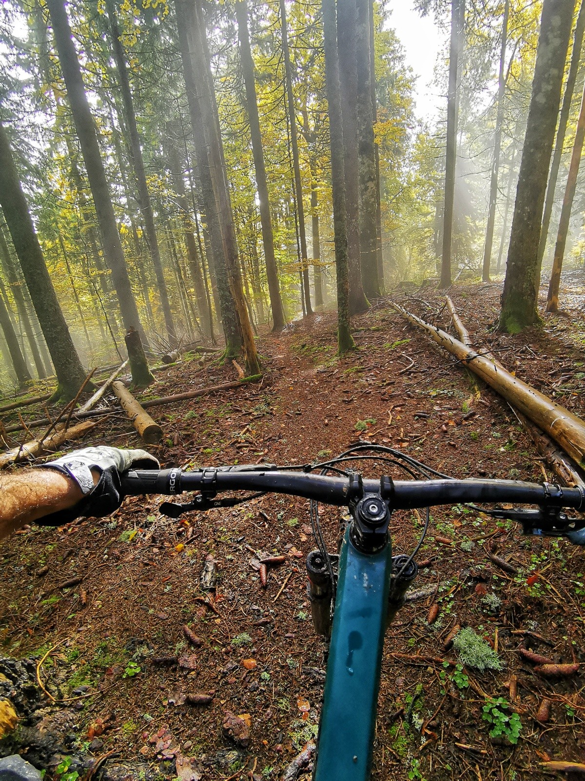 #8 Descente dite de Forchette Descente dite de Forchette
