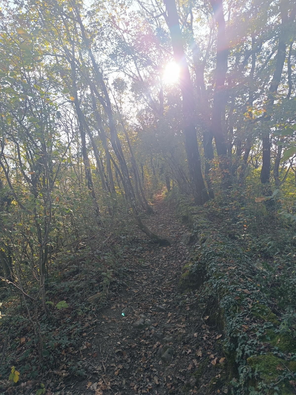  Descente vers Champagnier