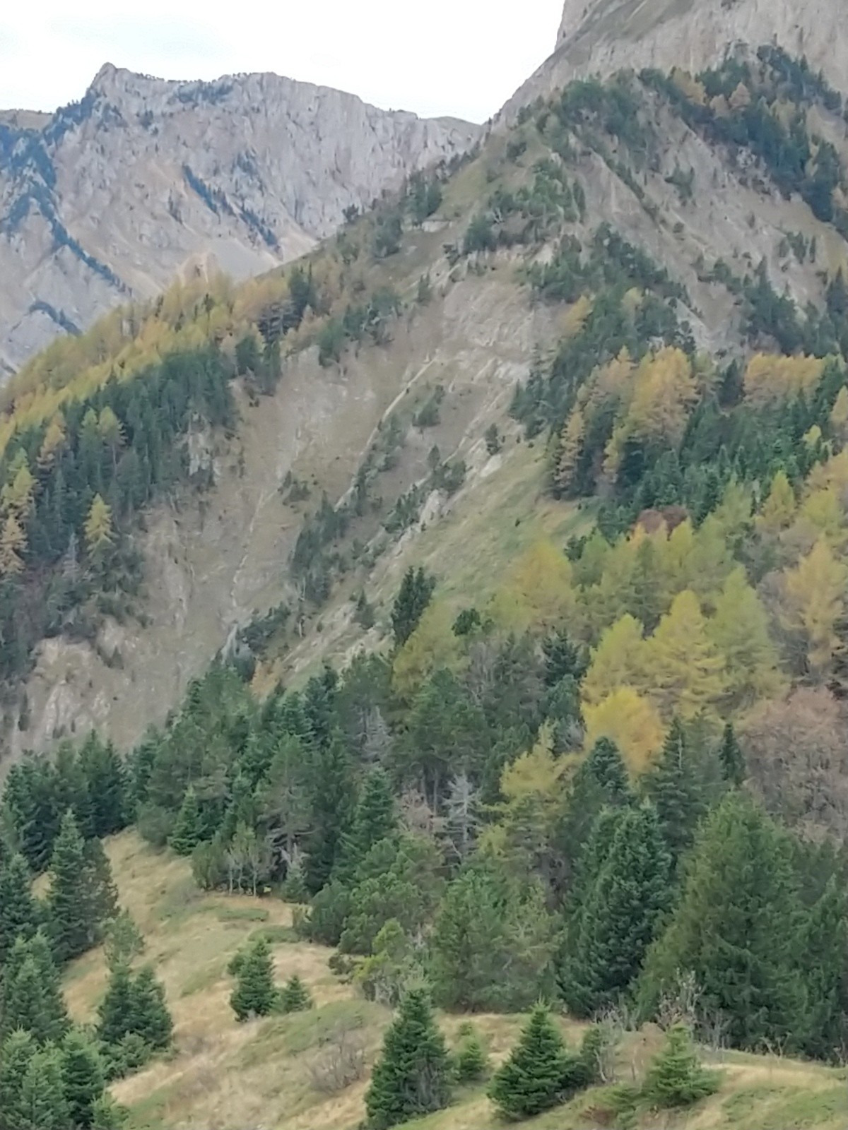 La crête depuis Brisou