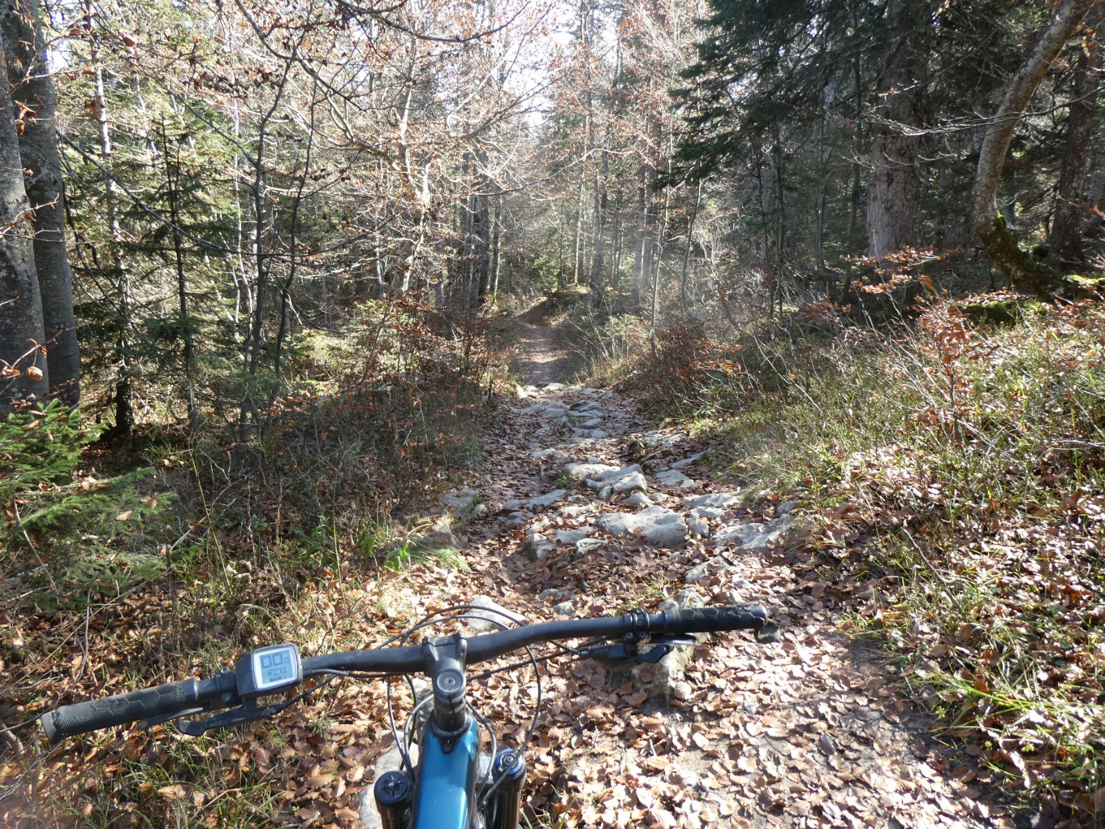 Sentier des Tannes et glacières