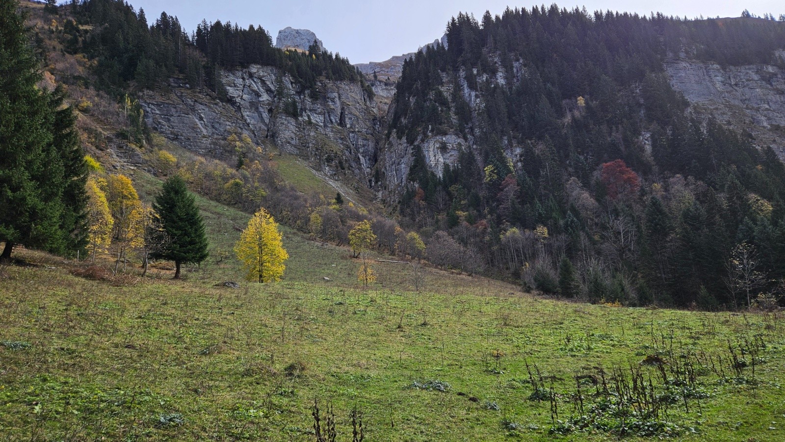 Joli cirque.