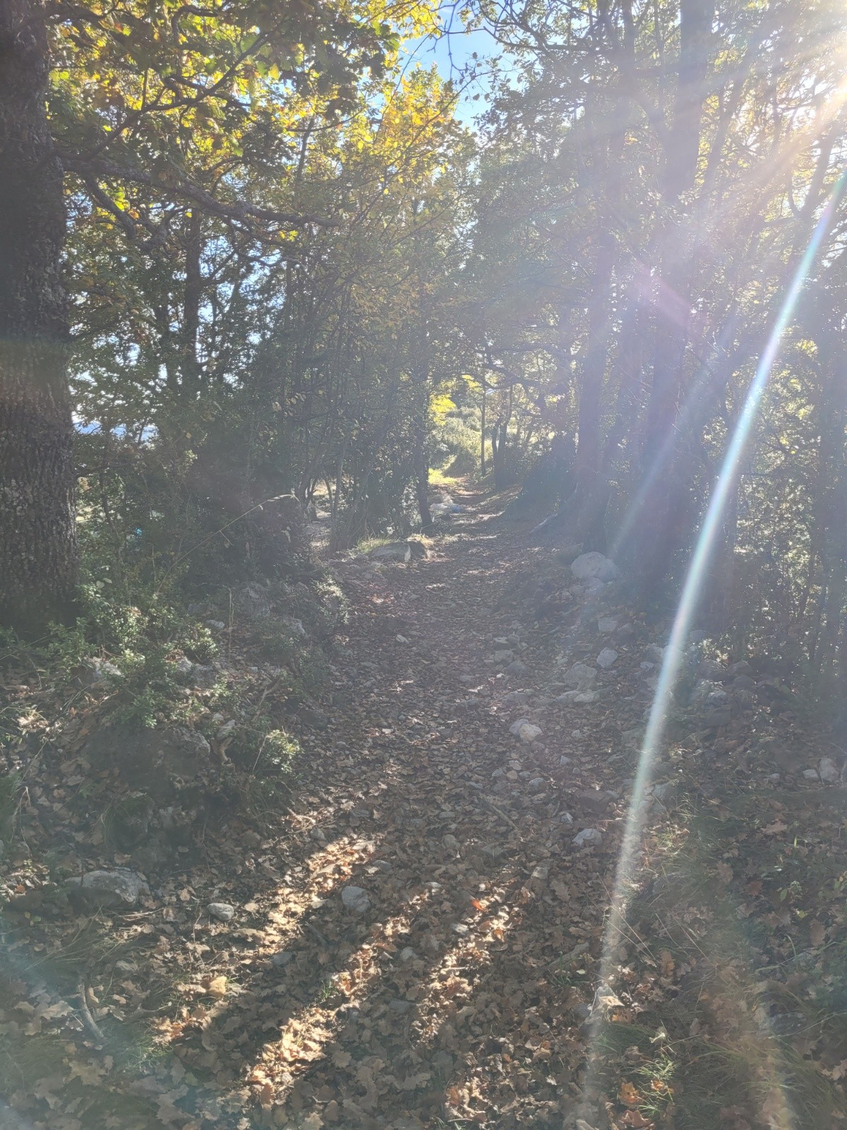 Début de descente dans Lous Trucs 