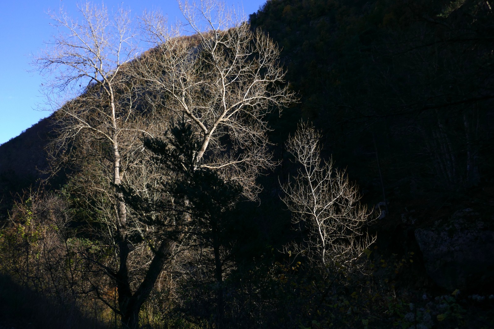 Sur le sentier final.  