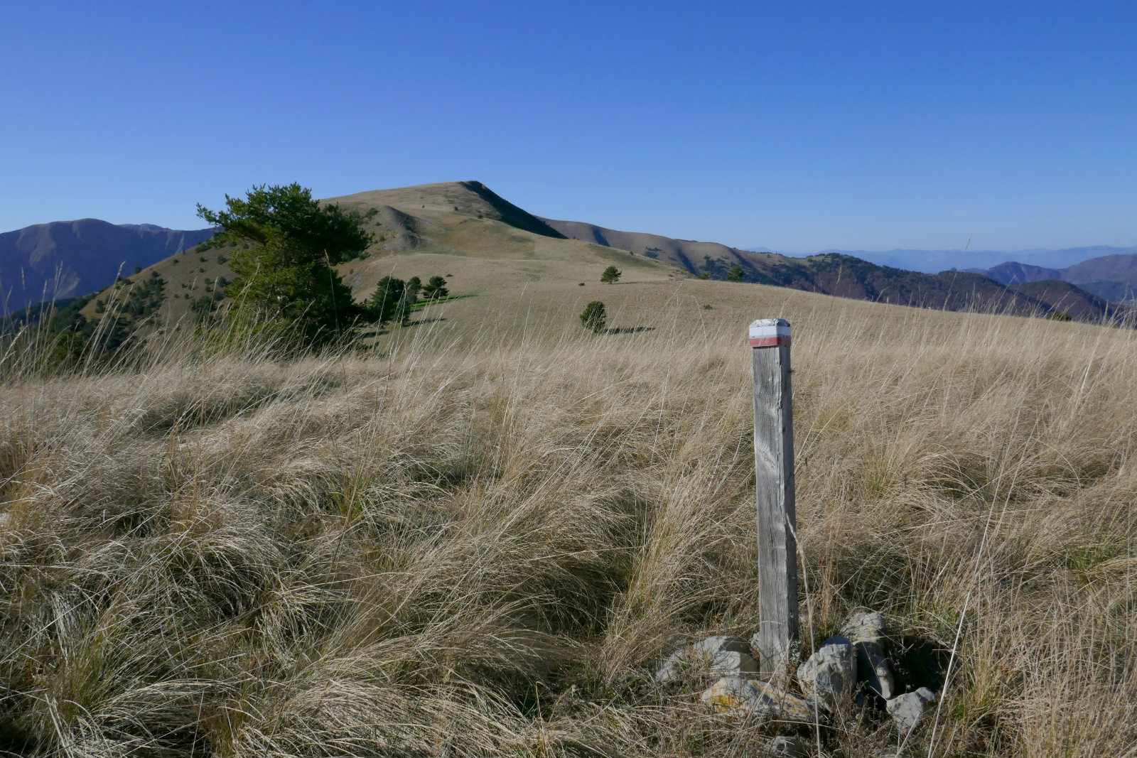 Sur les Crêtes de Val Haut.