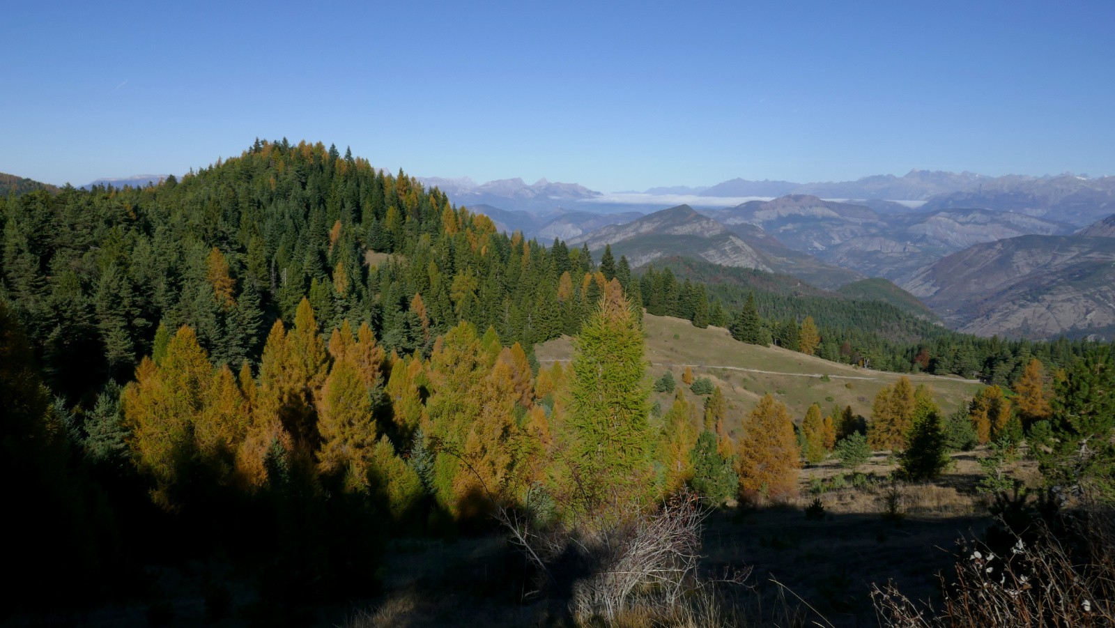 Sur la Crête des Mélèzes