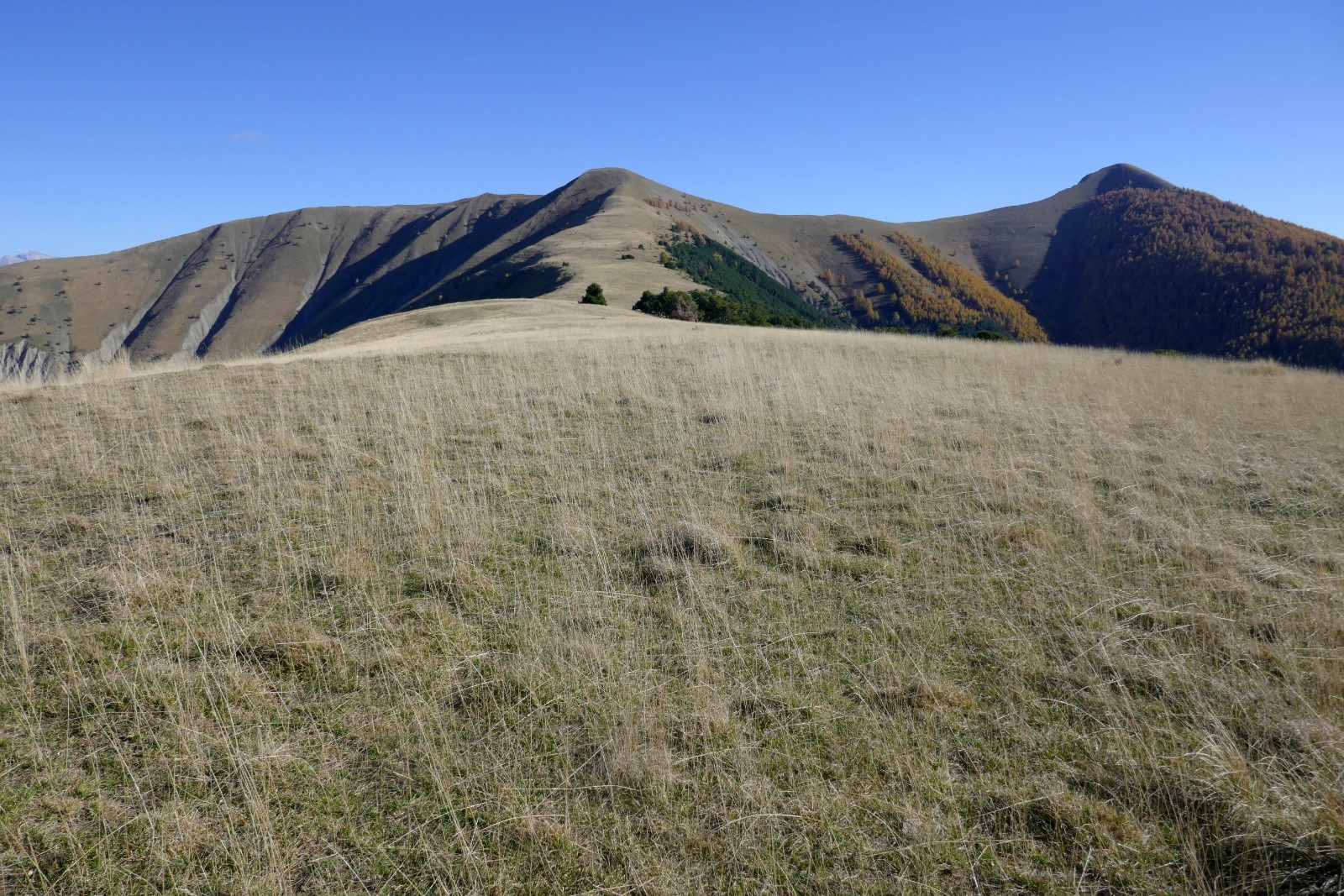 Sur la Crête de la Colle. 