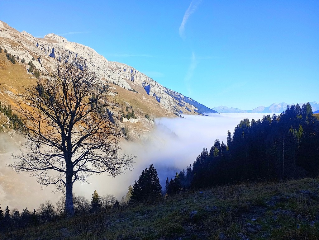 L'océan côté vallée de l'Arve