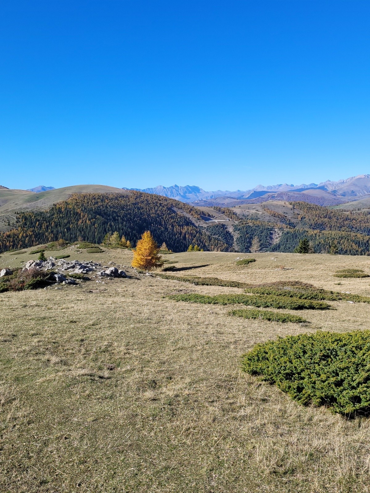 un beau panorama 