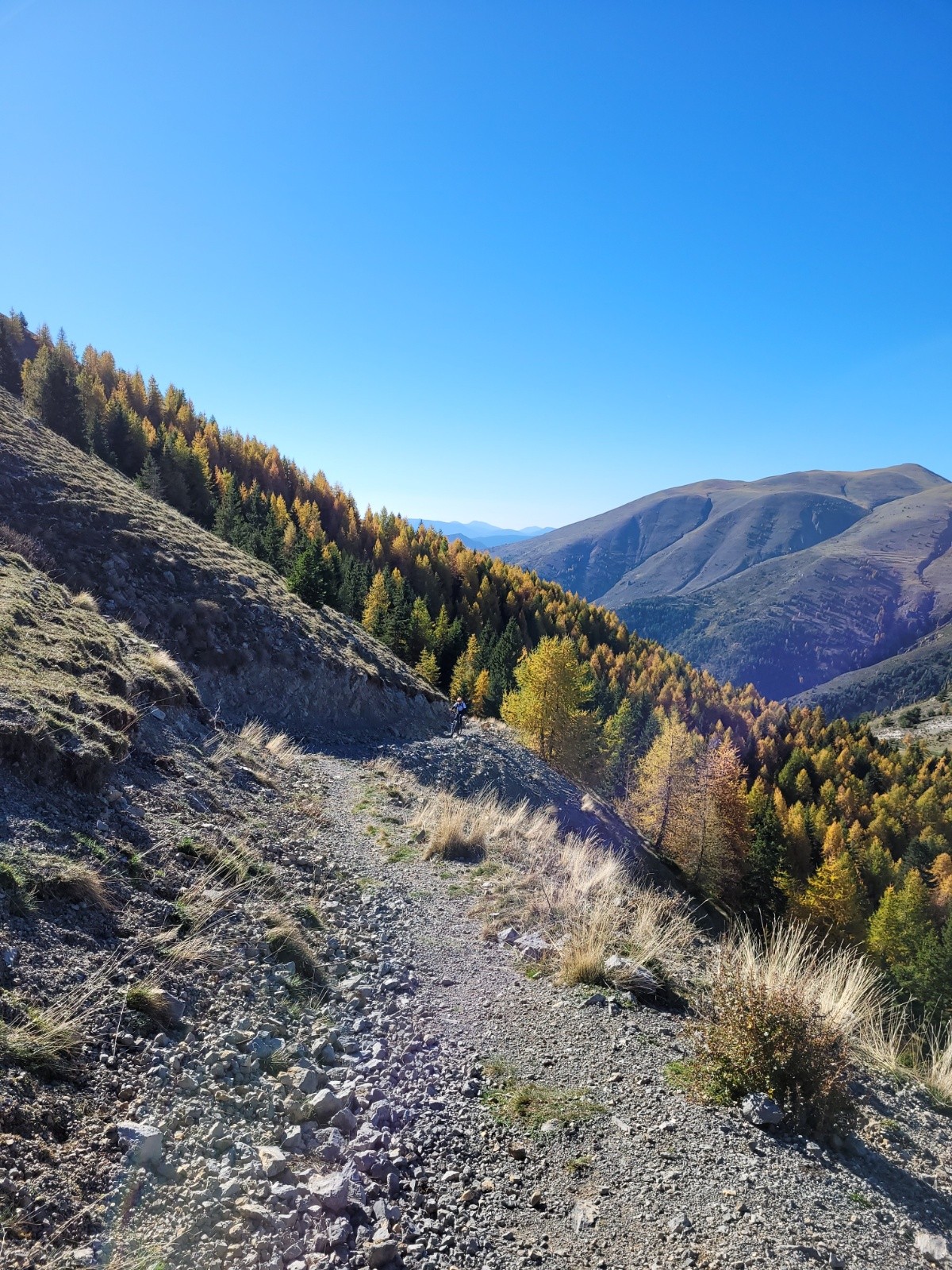  montée vers la colline des Mélèzes