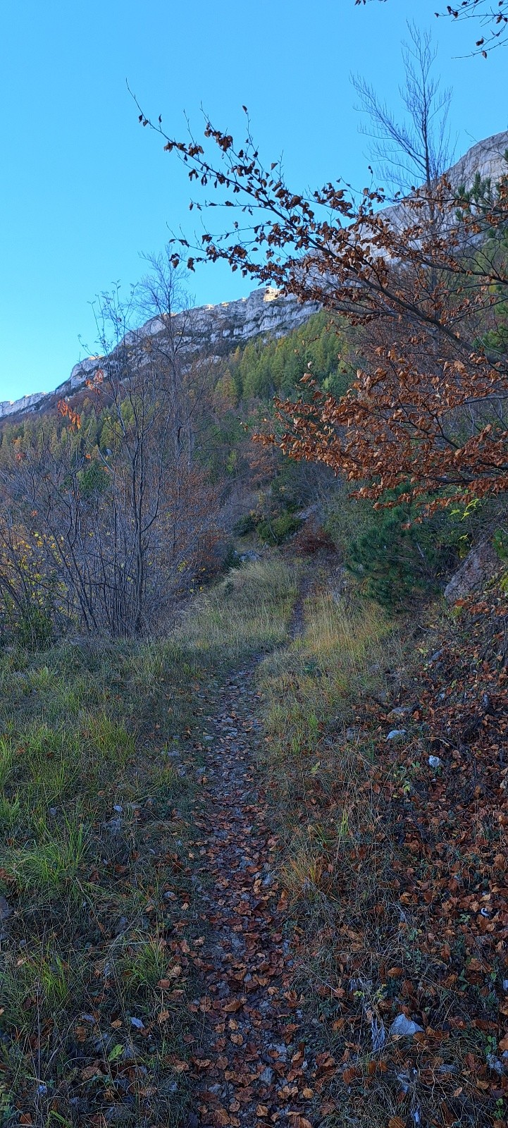 Sentier Pas de la Faye 