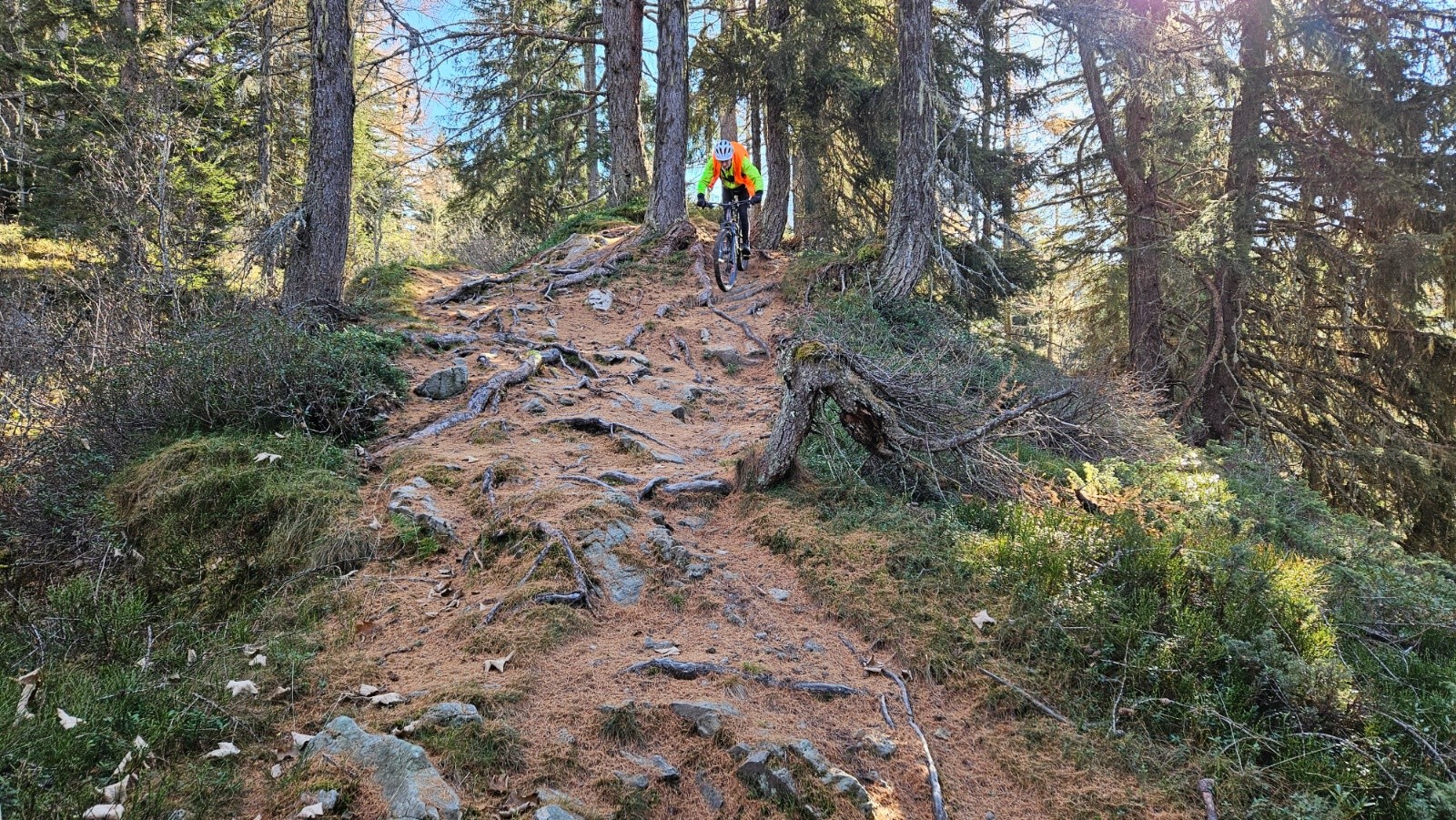 Alban a adoré ce sentier.