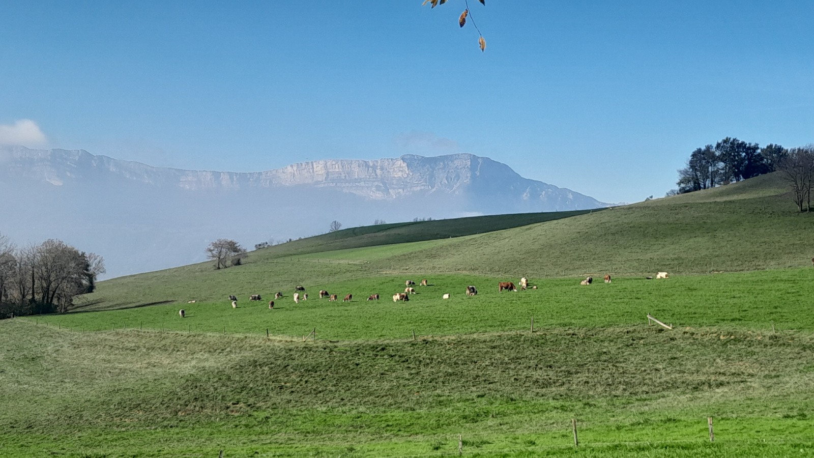 Bravo pour ce choix de rando vtt ! magnifique !