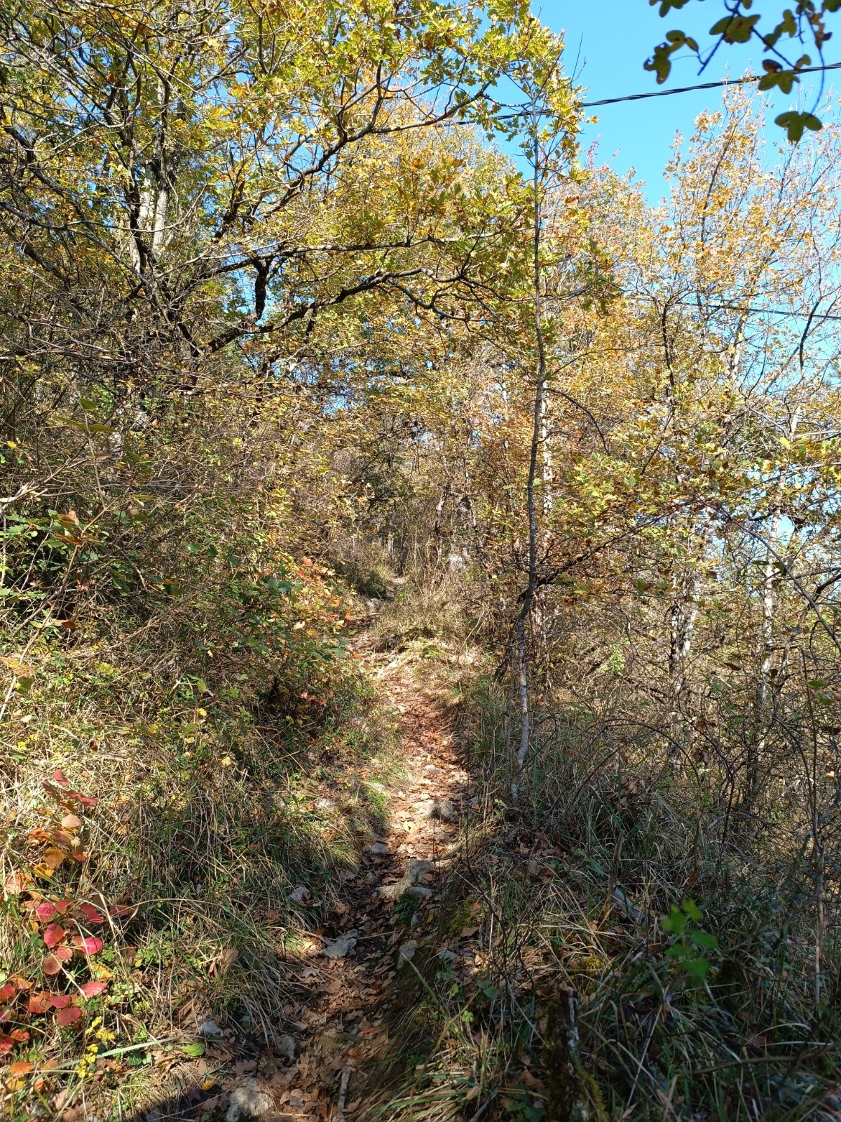 Dans le rétroviseur sur le sentier de descente 