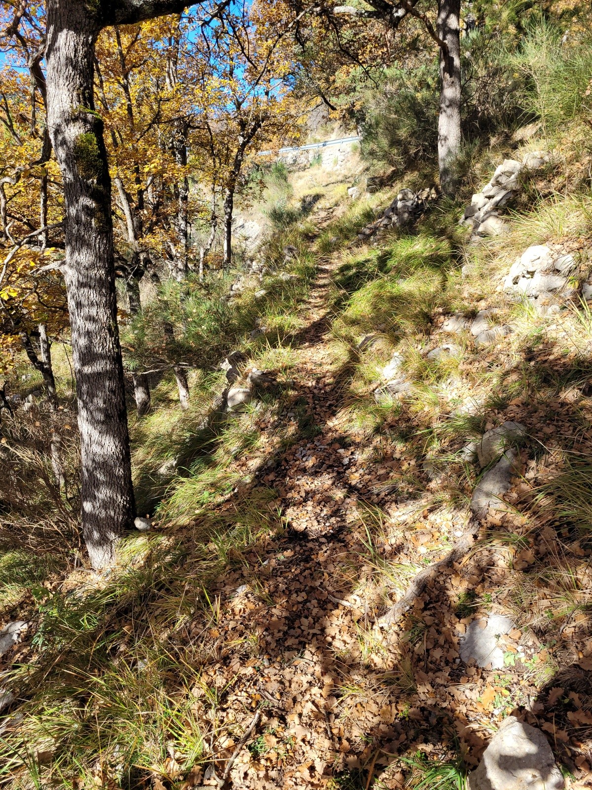 montée vers le col de St Léger 