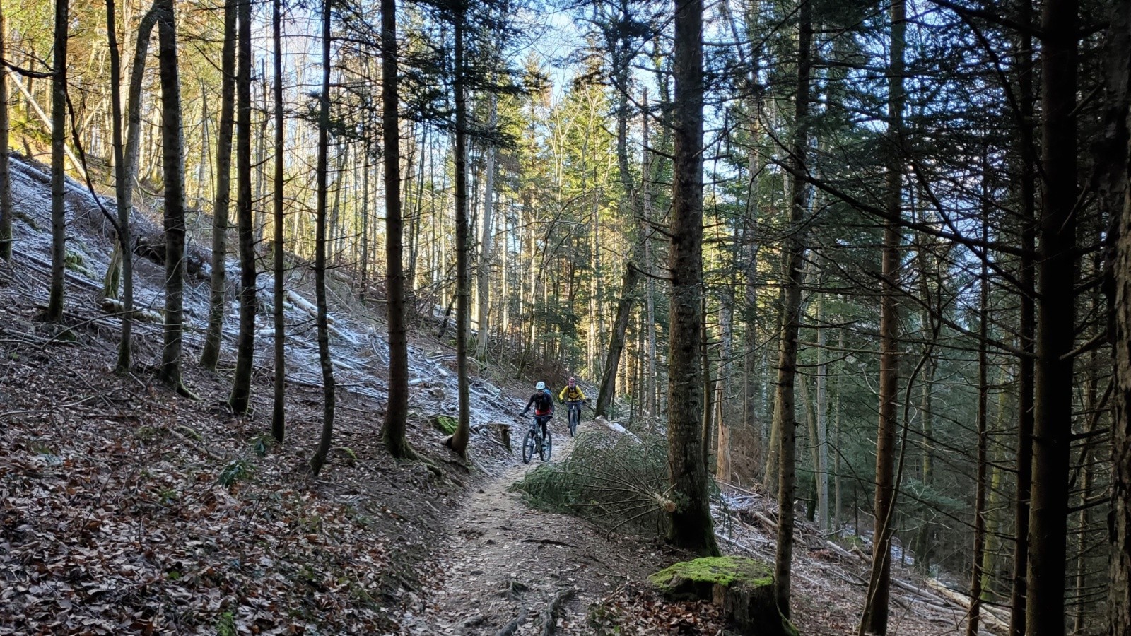 Arrière du Rampignon 