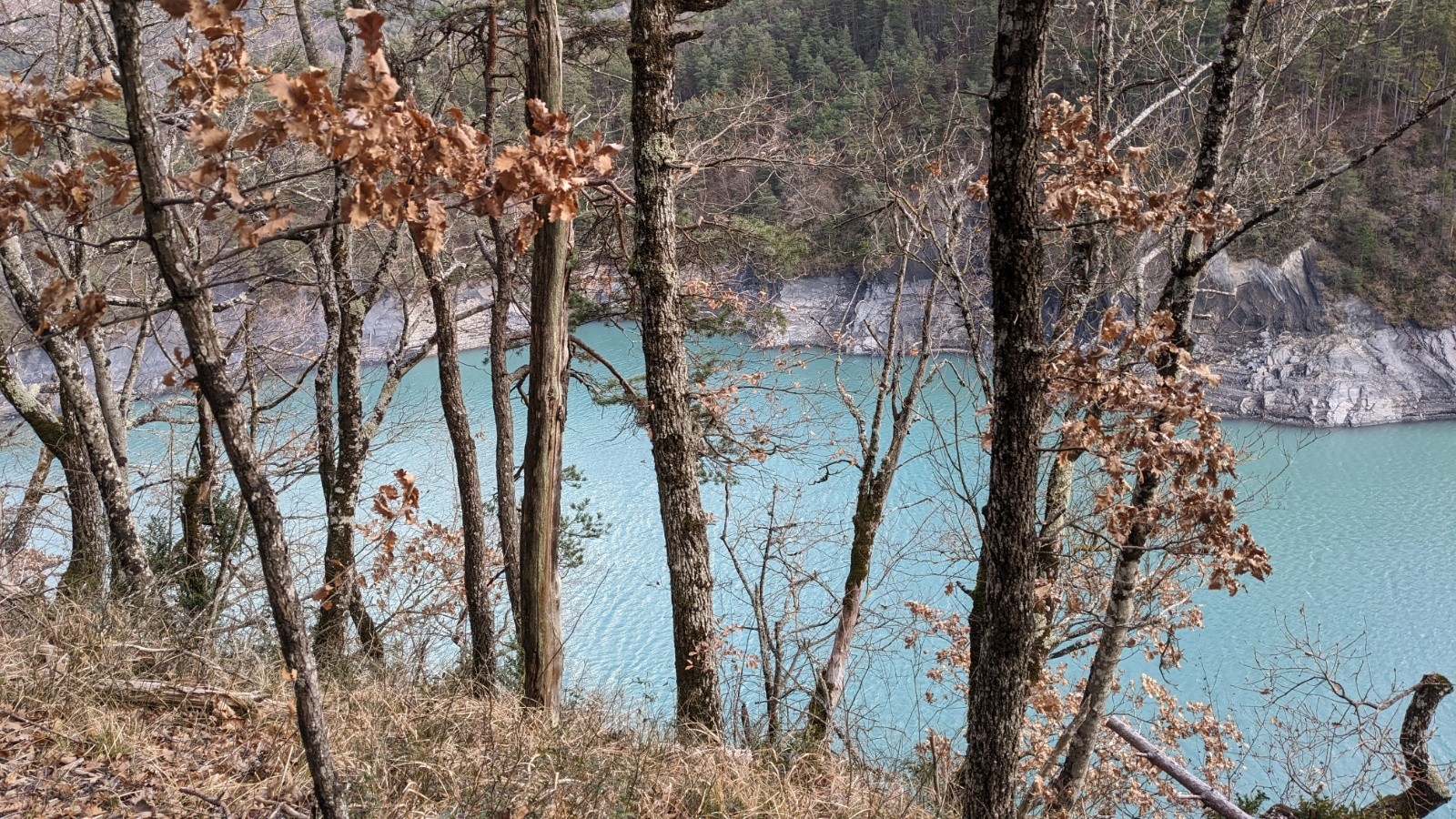 branche de l'Ébron